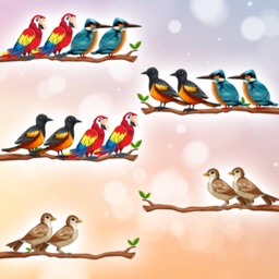 Bird Sort Color Puzzle ASMR