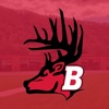 Bucktail Athletics icon