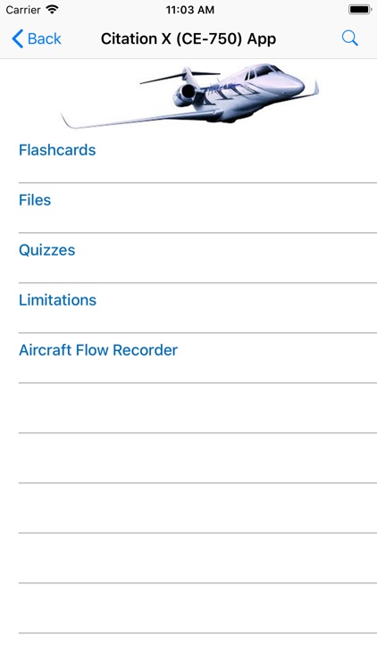 iCITATION Type Rating Prep screenshot-6