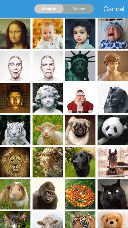 Face Story -Morph, Change Face screenshot-0