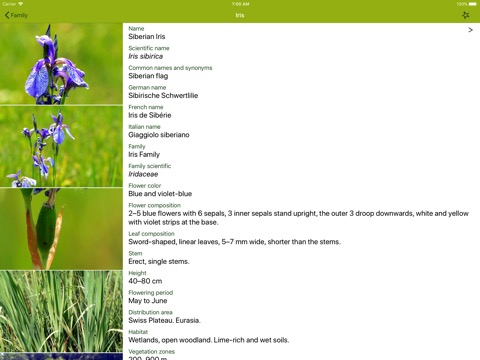 Wildflower Finder Switzerlandのおすすめ画像3