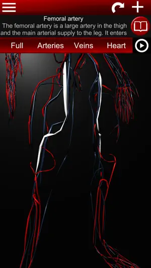 Circulatory System 3D Anatomy screenshot 3