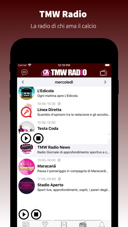 TorinoGranata.it screenshot-6