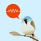 “Top of the pile of bird song recognition apps” - Bird Watching magazine