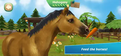 Horse Hotel - care for horses