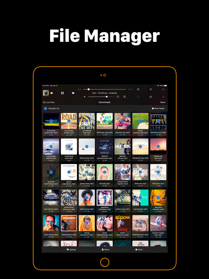 Flacbox Hi-Res Music Player