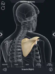 my skeleton anatomy ipad resimleri 4