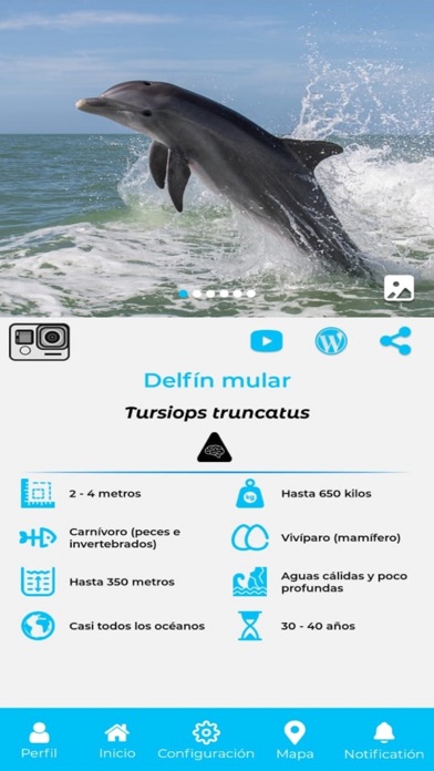 PECEDEX 2021 Screenshot