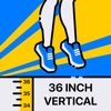 Vertical Jump for Basketball