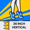 Vertical Jump for Basketball - Appcano LLC