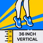 Vertical Jump for Basketball App Contact