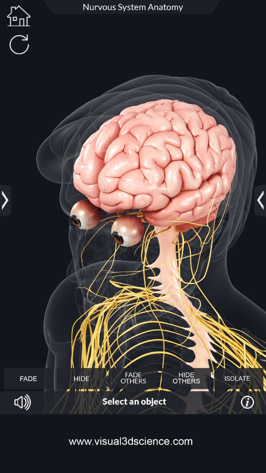 #2. My Nervous System Anatomy (iOS) 由: Santosh Chavan