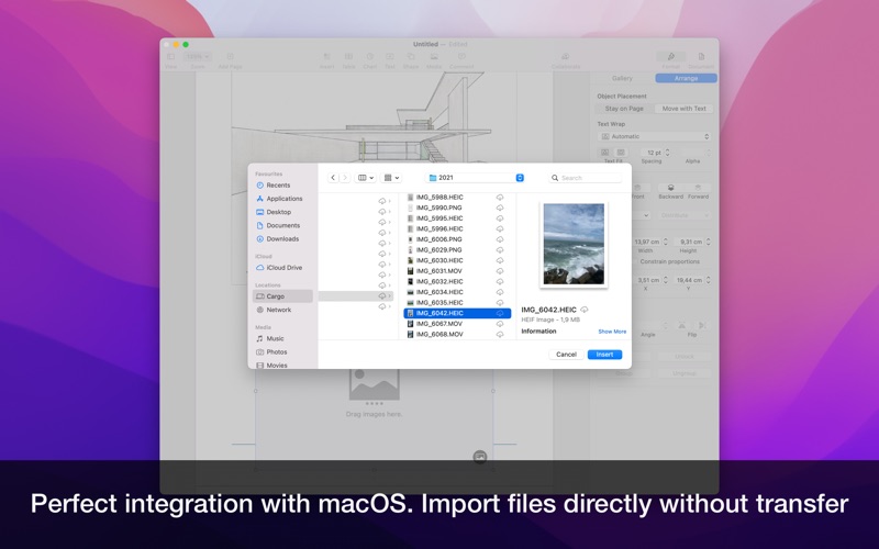 Screenshot #4 for Cargo • File Transfer for iOS