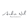 Andre Nel Auctioneers