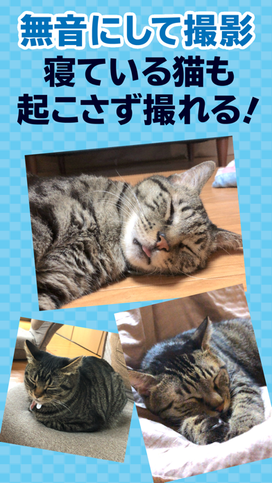 撮る猫 のスクリーンショット