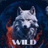 Lucky Wolf icon