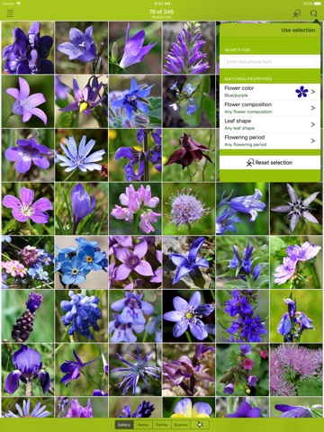 Wildflower Finder Switzerlandのおすすめ画像4