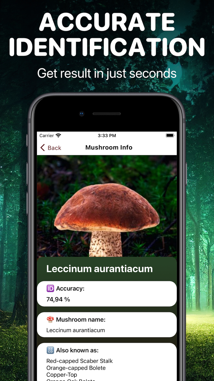 Mushroom Identifier App Fungi