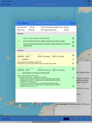 Flight Briefing screenshot 4