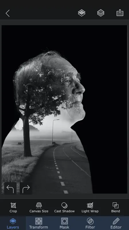 Superimpose X screenshot 7 of 10