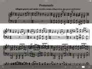 mussorgsky pictures exhibition ipad resimleri 4