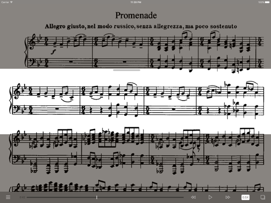 Screenshot #4 for Mussorgsky Pictures Exhibition