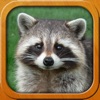 Animals for Kids, full game icon