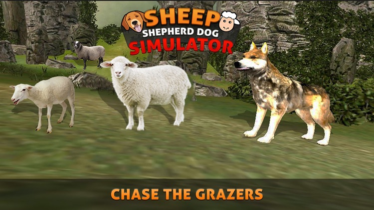 Sheep Herding Dog Simulator