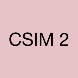 CSIM Game 2