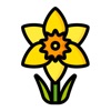 Daffodil Stickers