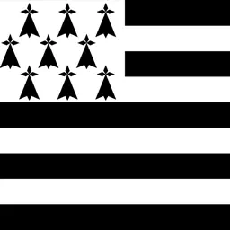 Dictionnaire Breton-Français app icon