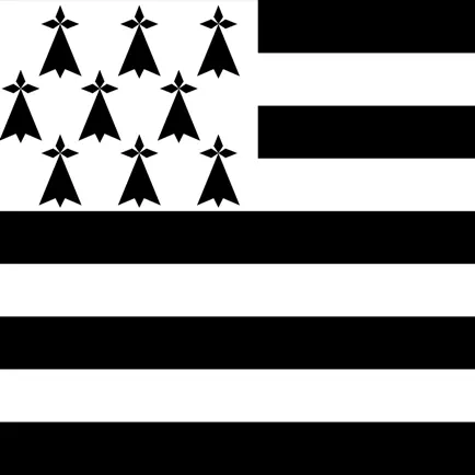 Dictionnaire Breton-Français Cheats