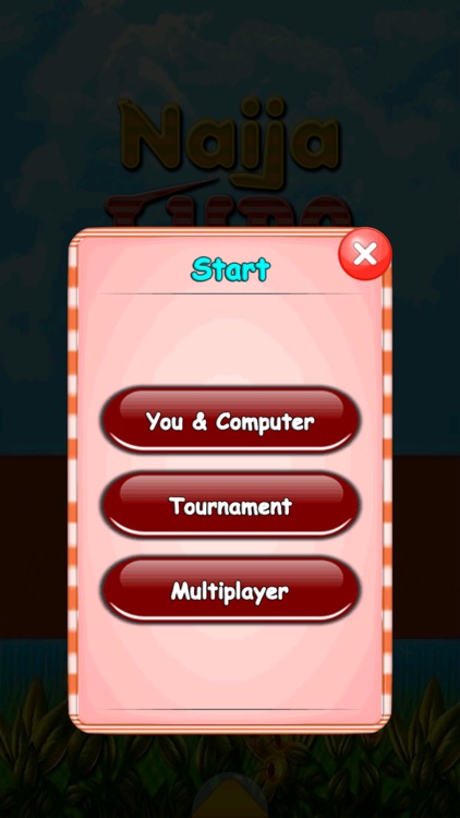 Naija Ludo screenshot-3