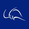 ZoomStocks icon