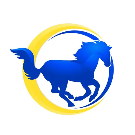 Mustang Cheer Читы