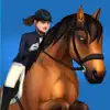 Show Jumping Premium problems & troubleshooting and solutions
