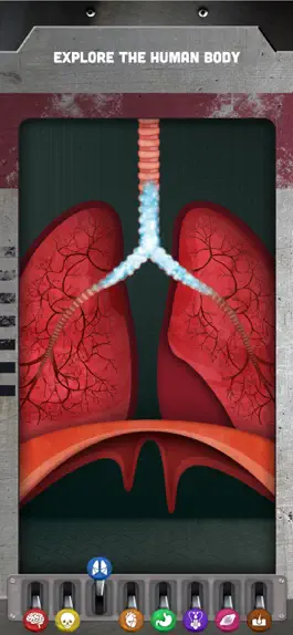 Game screenshot How does The Human Body Work? mod apk