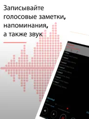 alon dictaphone - Диктофон айпад изображения 1