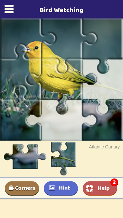 Bird Watching Puzzle Screenshot