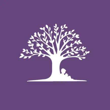 Holden Christian Academy Читы
