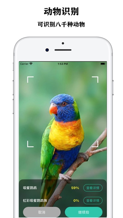 Plant recognition - know plant Screenshot