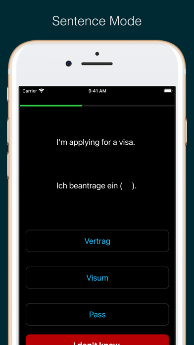 German Vocabulary and Grammar Screenshot