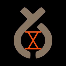 StromaScape Metric Time Ed.