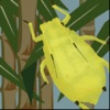 Sugarcane Aphid Glance N Go icon