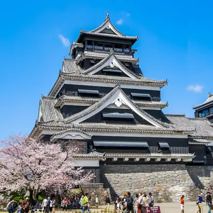 Japan Castle Blocks Cheats