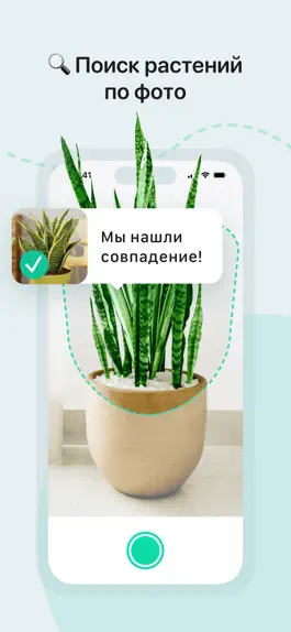 Game screenshot Seqvoia - Мои растения mod apk
