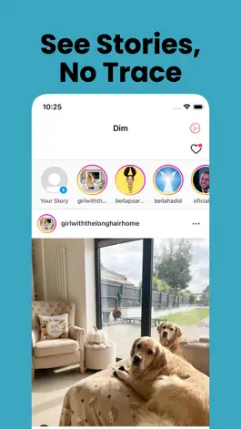 Game screenshot Dim: Story Viewer for IG hack