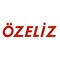 Özeliz Eğitim Destek Sistemi, Özeliz öğrencileri ve öğretmenleri için yardımcı bir programdır