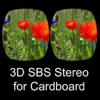 3D SBS Stereo for Cardboard - Kai Bruchmann