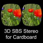 Download 3D SBS Stereo for Cardboard app